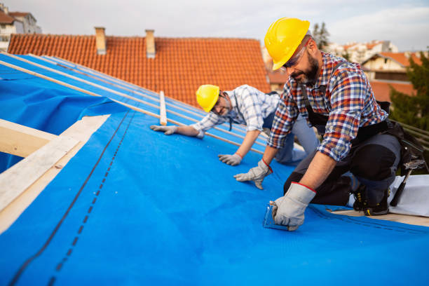Best Roof Gutter Cleaning  in Vassar College, NY